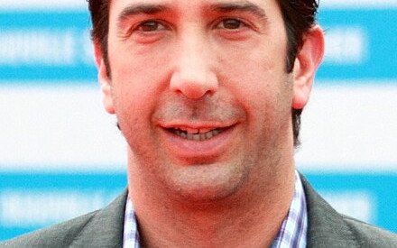 David Lawrence Schwimmer